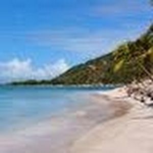 Meet your Posher, Adella